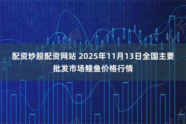 配资炒股配资网站 2025年11月13日全国主要批发市场鳗鱼价格行情
